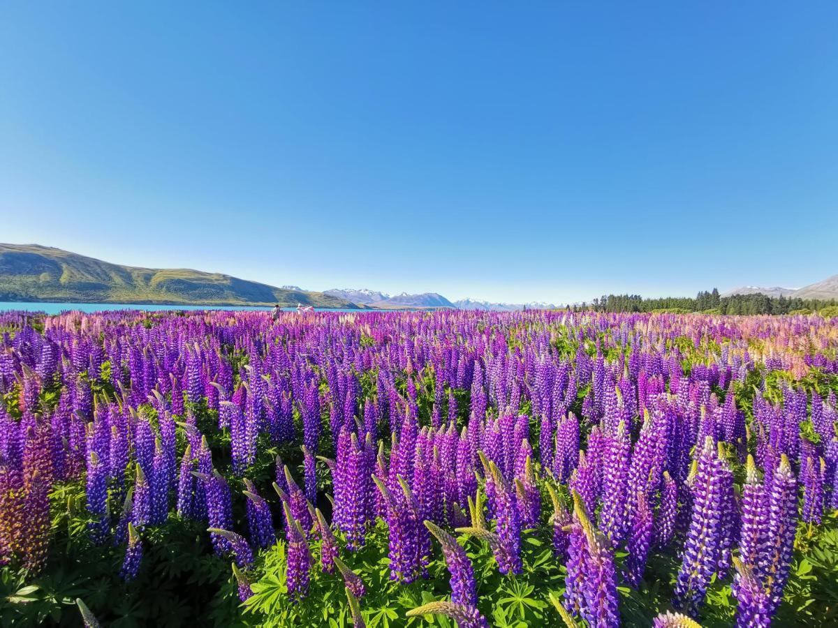 Skyrim Lodge Lake Tekapo Eksteriør billede